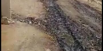 खेरागढ़ तहसील में नारकीय जीवन जी रहे हैं ग्रामीण,