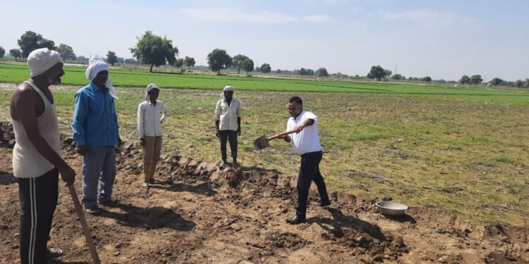खंड विकास अधिकारी अनिरुद्ध सिंह चौहान मनरेगा मजदूरों के साथ कार्य करते हुए
