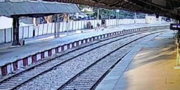 आगरा के राजा की मंडी स्टेशन पर बंदरों के झुंड ने सब इंस्पेक्टर पर बोला हमला ,हाथ में काटा …