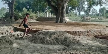 ग्राम पंचायत पचपेड़वा मे वट वृक्ष के चबूतर का निर्माण कार्य