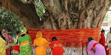 बाबा तुरन्तनाथ धाम पर स्थित वट सावित्री वृक्ष पर तन मन धन अर्पित कर वट वृक्ष की पूजा