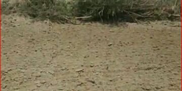 उन्नाव से बिछिया ब्लॉक के पड़री खुर्द में वैध तरीके से खनन