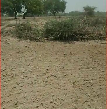 उन्नाव से बिछिया ब्लॉक के पड़री खुर्द में वैध तरीके से खनन