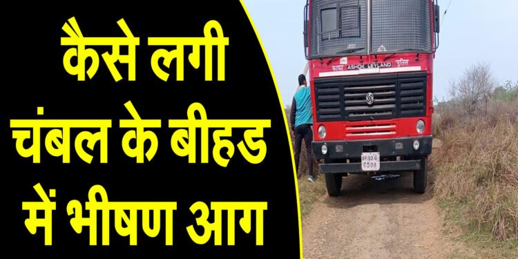 अज्ञात करणों से चंबल के बीहड में लगी भीषण आग