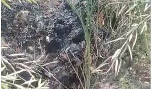 आगरा में मिला अज्ञात जला हुआ शव,