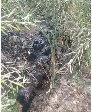 आगरा में मिला अज्ञात जला हुआ शव,