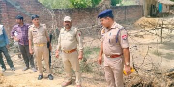 चूल्हे की चिंगारी के भूसे में जाकर गिरने से गई आग,वृद्धा की हुई मौत