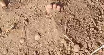 मंदसौर ज़िले में हत्या कर दफनाया शव