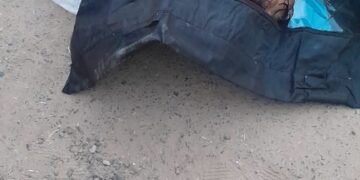 तालाब में शव मिलने से मचा हड़कंप स्थानीय लोगों ने पुलिस को दी सूचना