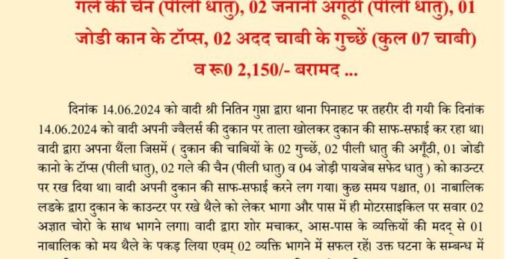 ज्वेलर्स की दुकान से आभूषण का बैग चोरी करने का मामला