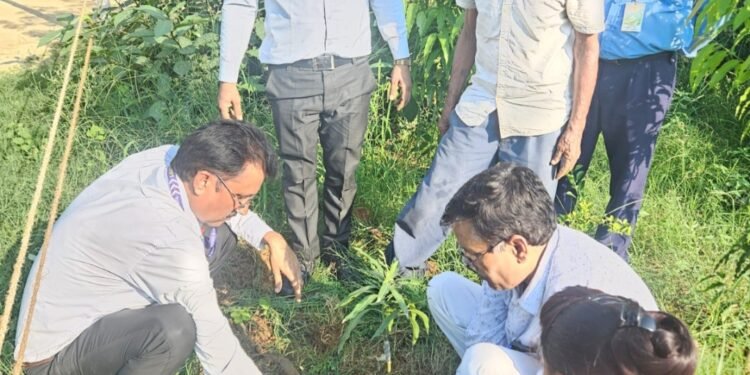 करहल  संत विवेकानंद सीनियर सेकेंडरी स्कूल के निदेशक डॉक्टर जेपी यादव ने आम के पौधे लगा कर वृक्षारोपण का किया आयोजन !