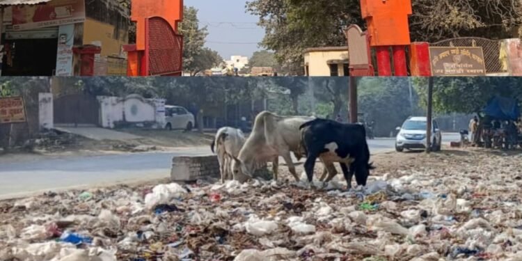 स्वच्छ भारत मिशन की उड़ी धज्जियां,प्रशासन की लापरवाही से गंदगी बनी बीमारी का कारण…