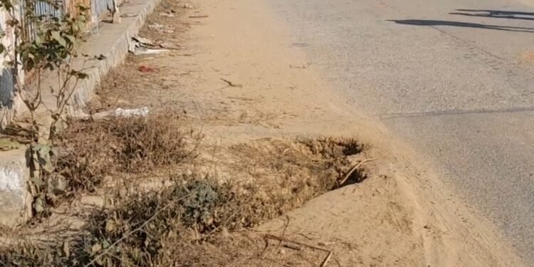 पग-पग पर गड्ढे,गड्ढों में झाडी,इस रोड की यही कहानी…