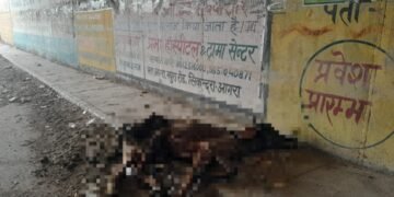 कई दिनों से बीमार पड़ी गाय को नहीं मिला इलाज,जिम्मेदार बने बेपरवाह…