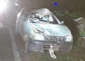 करहल में आवारा पशु से टकराई कार,हादसा टला…