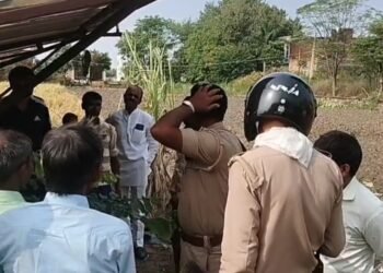 करहल ने आटा चक्की के सोलर पैनल को क्षतिग्रस्त करने की प्राथमिकी दर्ज…
